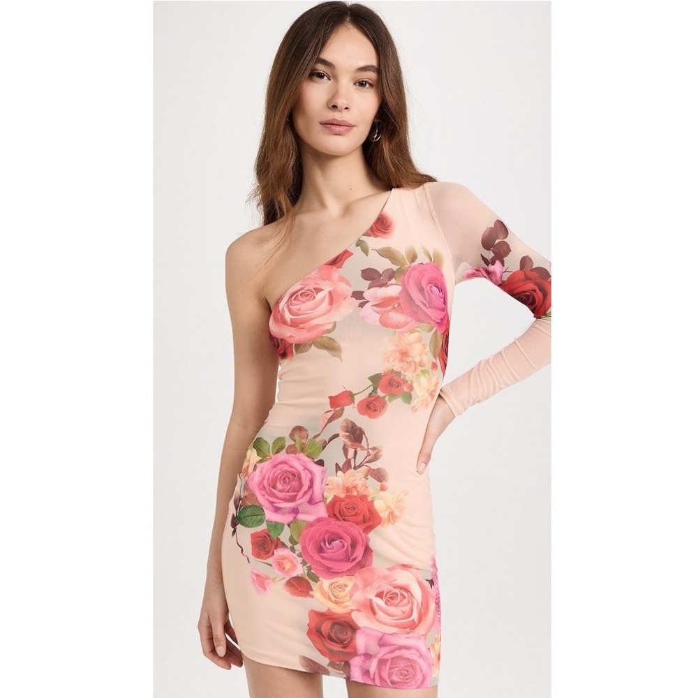 AFRM Nude Rose Swirl One Shoulder Mesh Mini Dress Floral Small NEW
